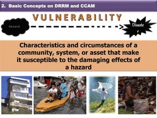 Characteristics and circumstances of a
community, system, or asset that make
it susceptible to the damaging effects of
a hazard
Hazard Disaste
r
>
2. Basic Concepts on DRRM and CCAM
 
