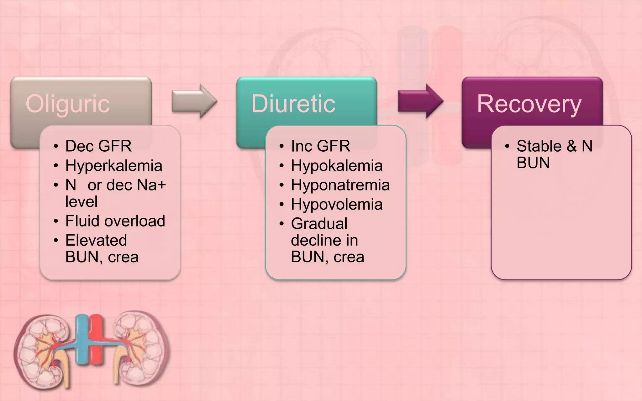 Oliguric
• Dec GFR
• Hyperkalemia
• N or dec Na+
level
• Fluid overload
• Elevated
BUN, crea
Diuretic
• Inc GFR
• Hypokalemia
• Hyponatremia
• Hypovolemia
• Gradual
decline in
BUN, crea
Recovery
• Stable & N
BUN
 