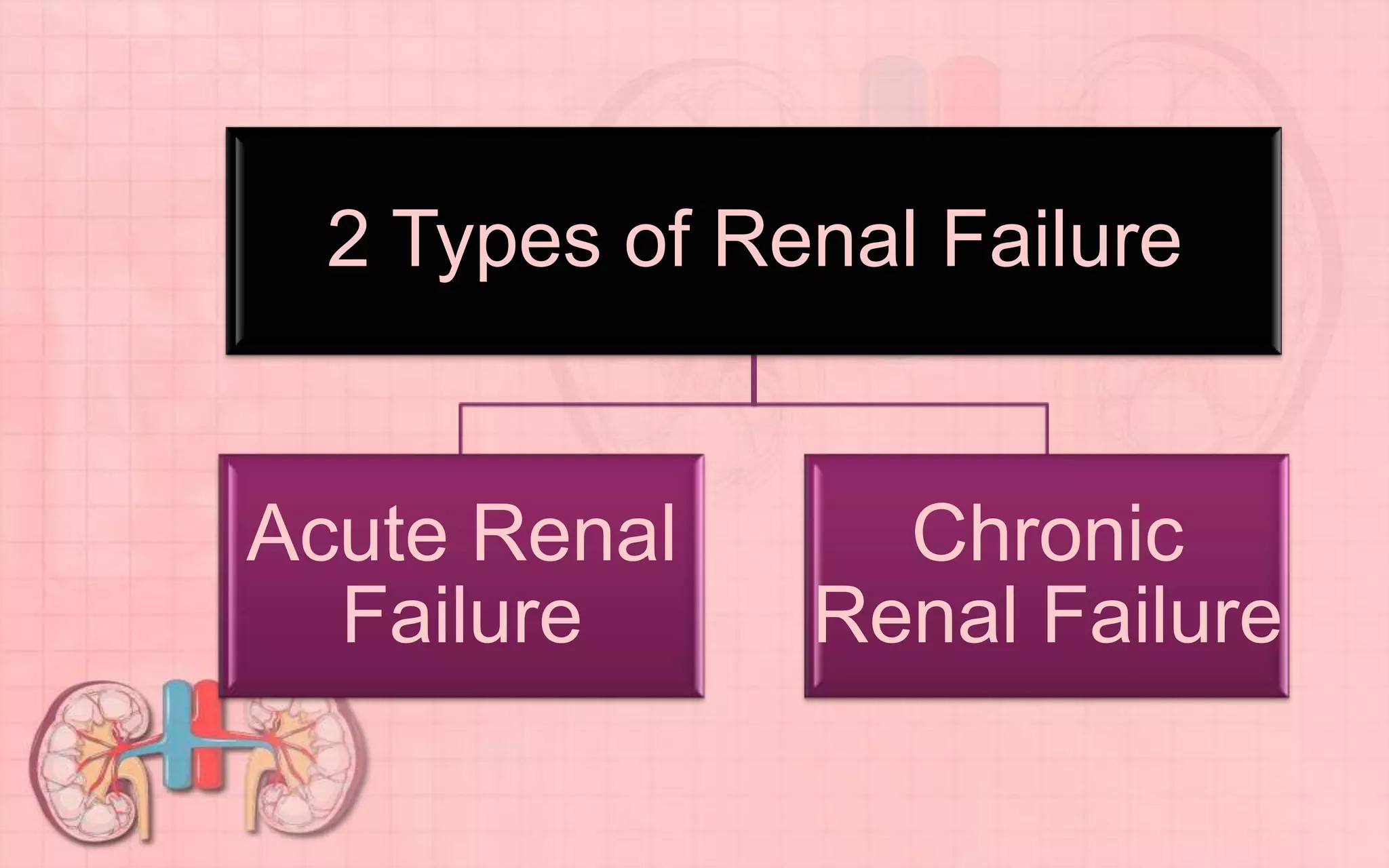 2 Types of Renal Failure
Acute Renal
Failure
Chronic
Renal Failure
 