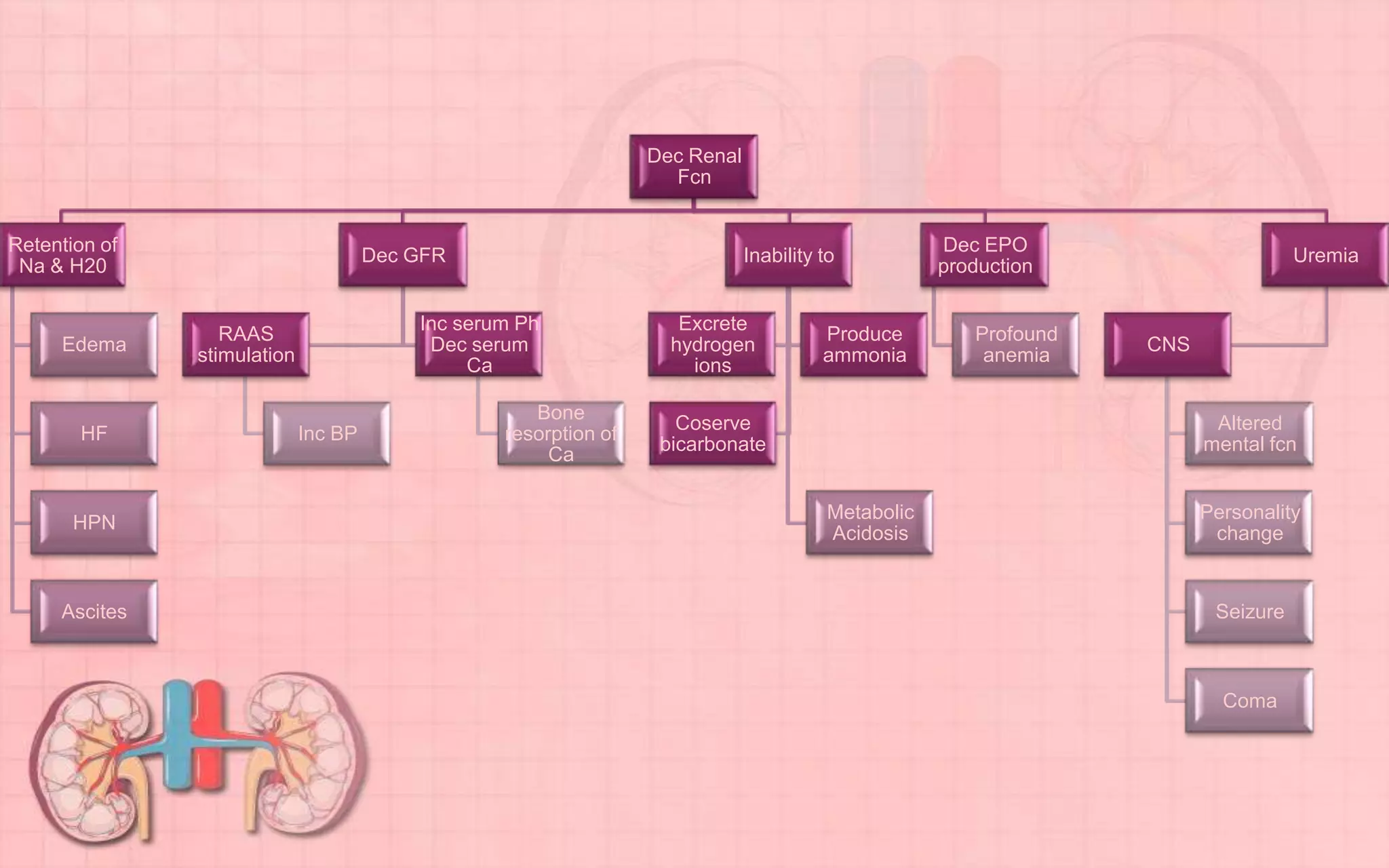 Dec Renal
Fcn
Retention of
Na & H20
Edema
HF
HPN
Ascites
Dec GFR
RAAS
stimulation
Inc BP
Inc serum Ph
Dec serum
Ca
Bone
resorption of
Ca
Inability to
Metabolic
Acidosis
Excrete
hydrogen
ions
Produce
ammonia
Coserve
bicarbonate
Dec EPO
production
Profound
anemia
Uremia
CNS
Altered
mental fcn
Personality
change
Seizure
Coma
 
