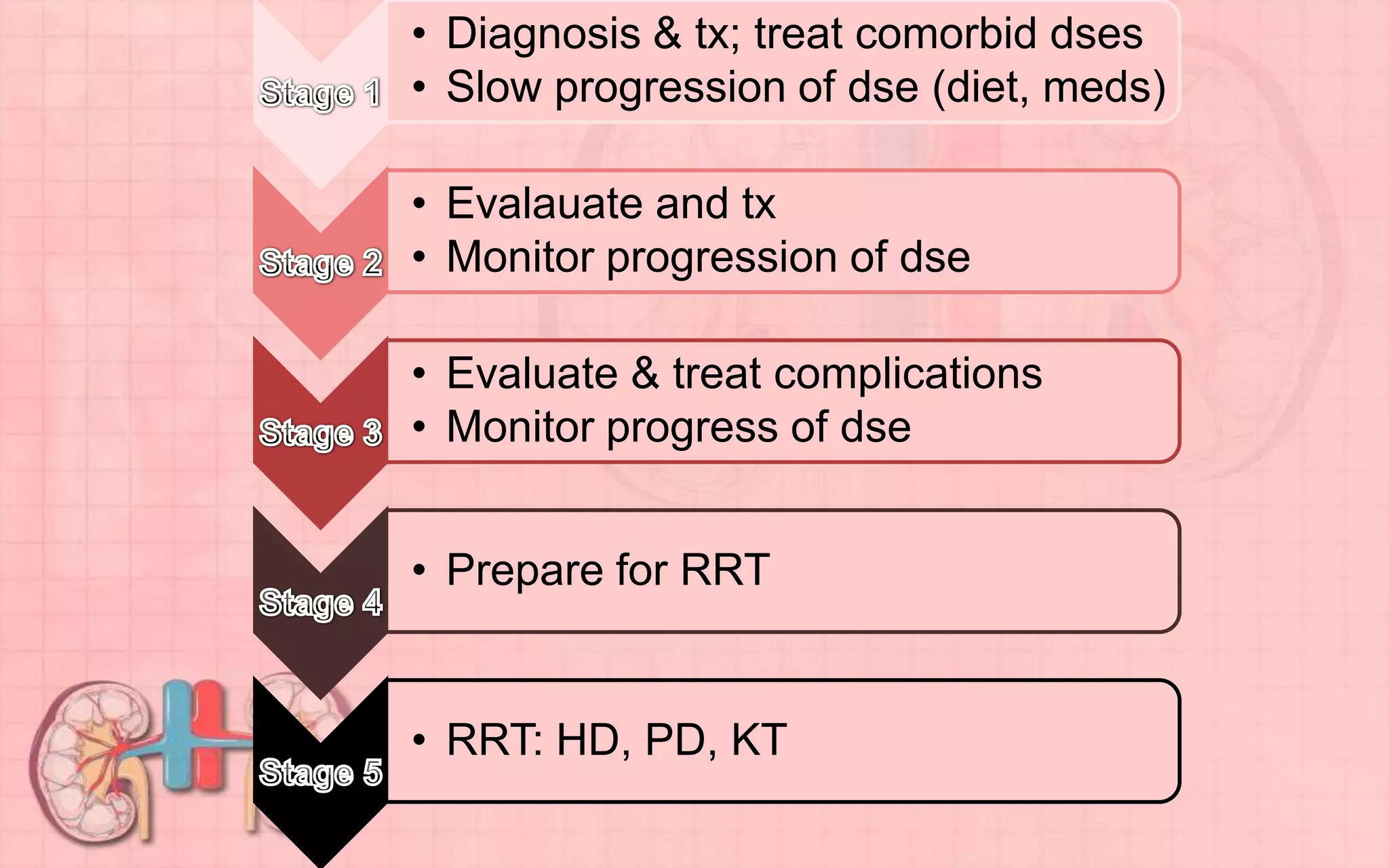 • Diagnosis & tx; treat comorbid dses
• Slow progression of dse (diet, meds)
• Evalauate and tx
• Monitor progression of dse
• Evaluate & treat complications
• Monitor progress of dse
• Prepare for RRT
• RRT: HD, PD, KT
 
