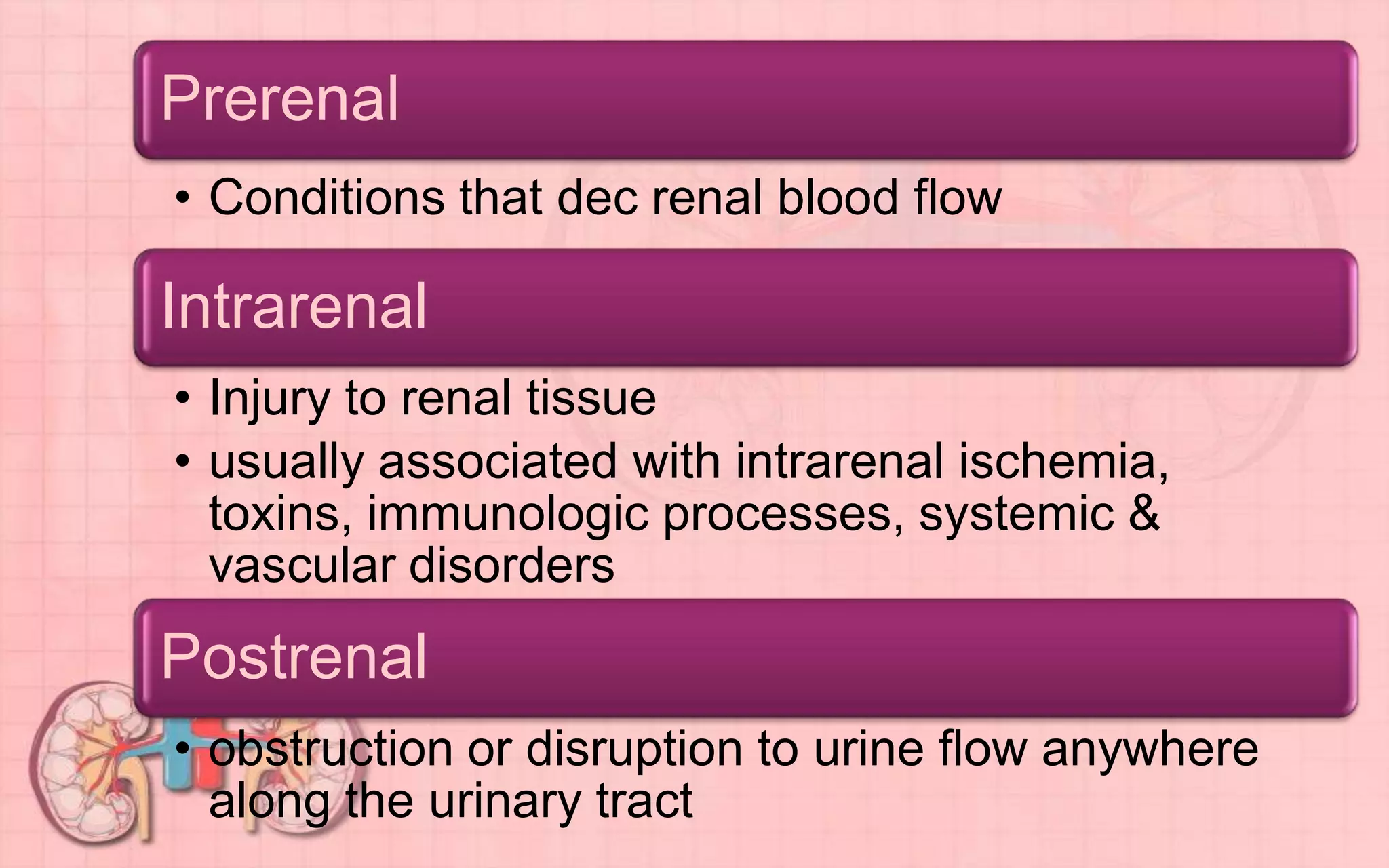 Prerenal
• Conditions that dec renal blood flow
Intrarenal
• Injury to renal tissue
• usually associated with intrarenal ischemia,
toxins, immunologic processes, systemic &
vascular disorders
Postrenal
• obstruction or disruption to urine flow anywhere
along the urinary tract
 
