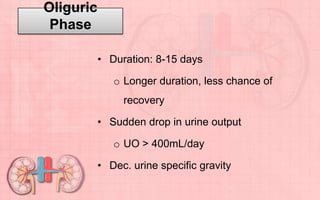 Oliguric
Phase
• Duration: 8-15 days
o Longer duration, less chance of
recovery
• Sudden drop in urine output
o UO > 400mL/day
• Dec. urine specific gravity
 