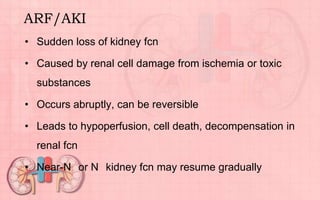 ARF/AKI
• Sudden loss of kidney fcn
• Caused by renal cell damage from ischemia or toxic
substances
• Occurs abruptly, can be reversible
• Leads to hypoperfusion, cell death, decompensation in
renal fcn
• Near-N or N kidney fcn may resume gradually
 