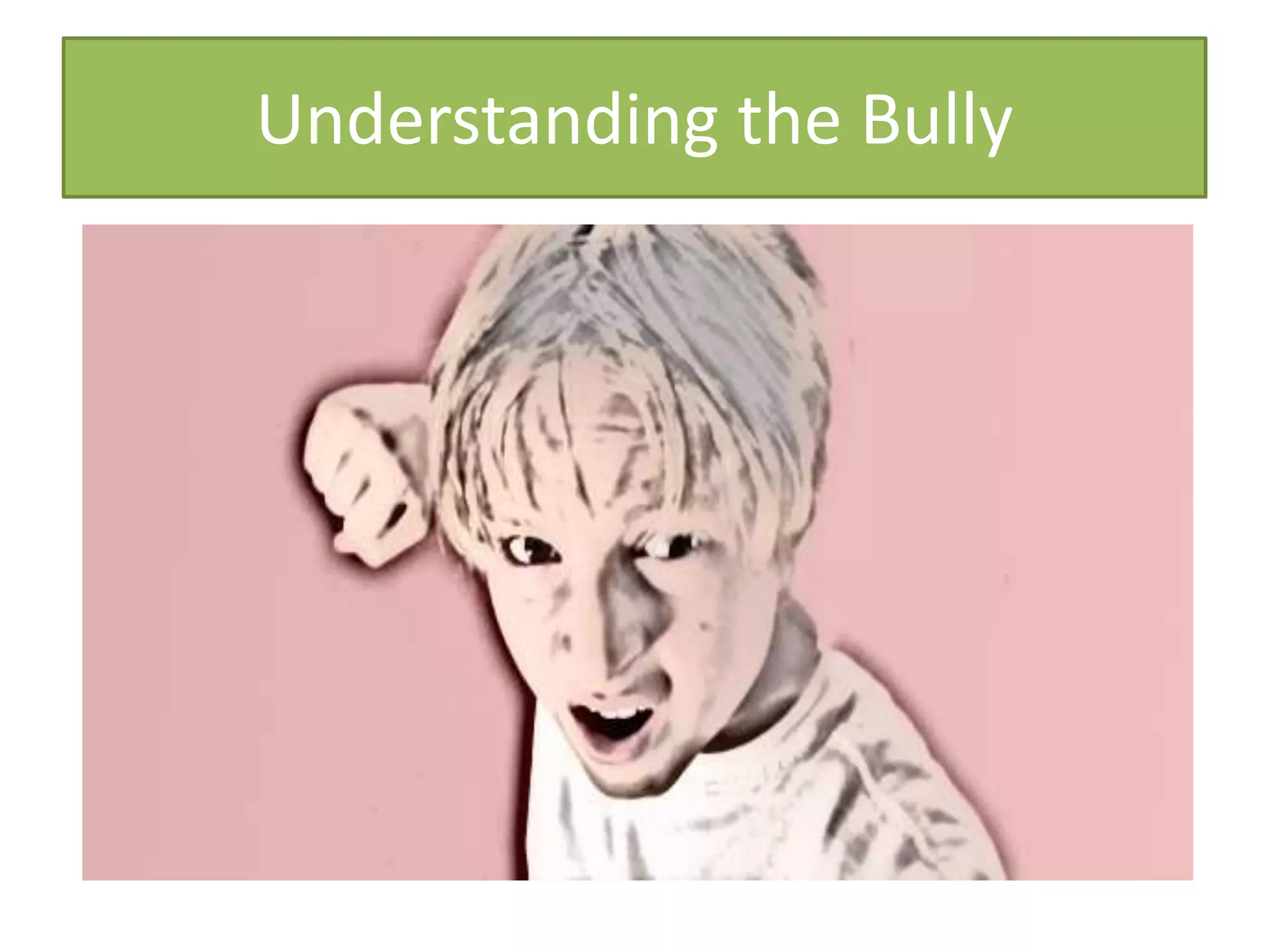 Understanding the Bully
 