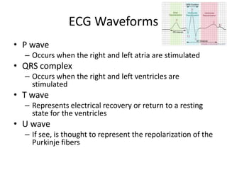 ECG Waveforms
• P wave
  – Occurs when the right and left atria are stimulated
• QRS complex
  – Occurs when the right and left ventricles are
    stimulated
• T wave
  – Represents electrical recovery or return to a resting
    state for the ventricles
• U wave
  – If see, is thought to represent the repolarization of the
    Purkinje fibers
 