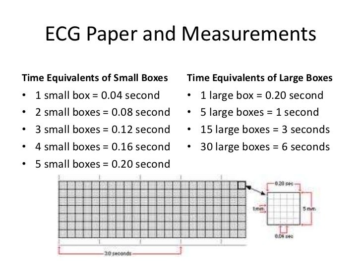Joyas voladoras brian doyle picture