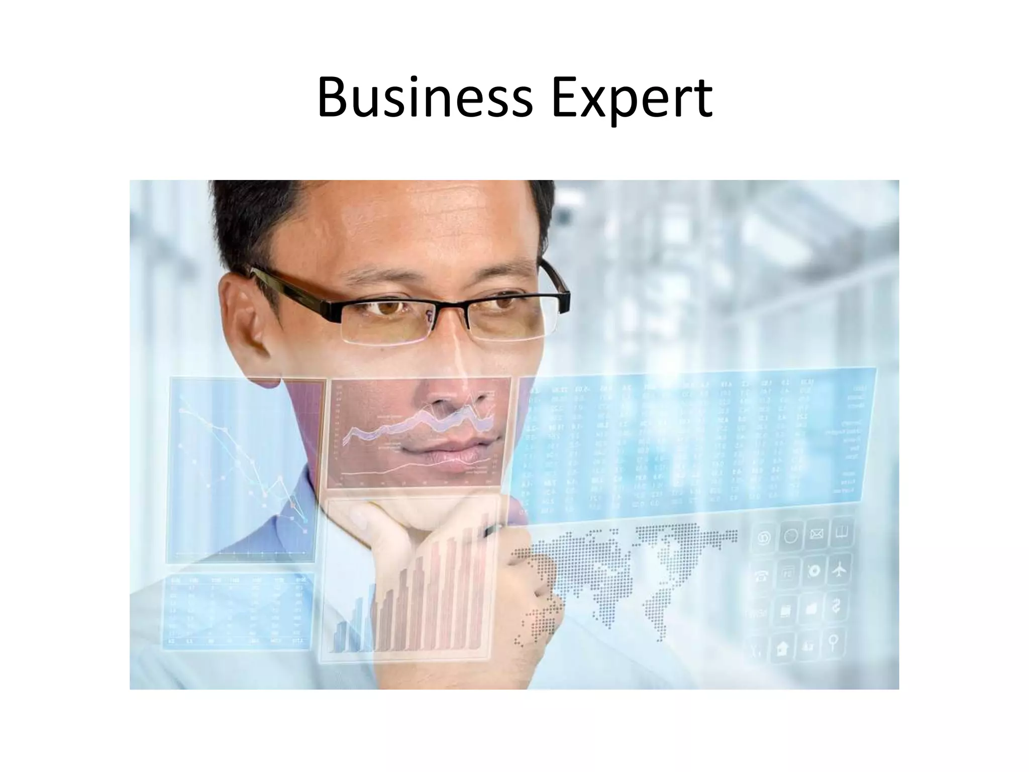 Business Expert
 