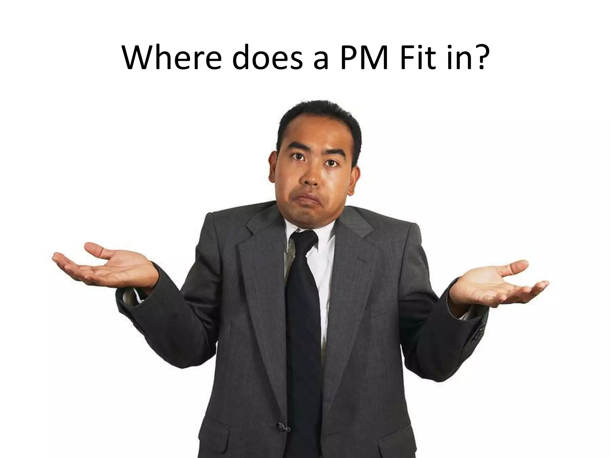 Where does a PM Fit in?
 
