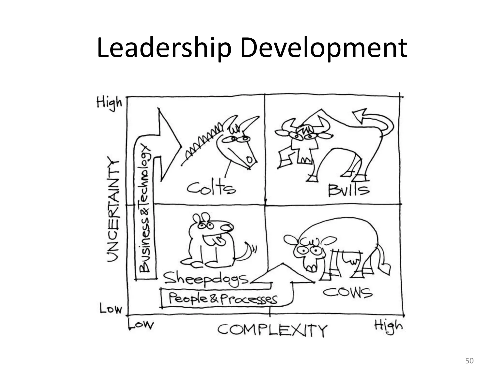 Leadership Development




                         50
 