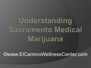 Understanding Sacramento Medical Marijuana  ©www.ElCaminoWellnessCenter.com 