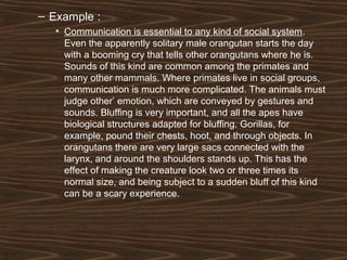 – Example :
• Communication is essential to any kind of social system.
Even the apparently solitary male orangutan starts the day
with a booming cry that tells other orangutans where he is.
Sounds of this kind are common among the primates and
many other mammals. Where primates live in social groups,
communication is much more complicated. The animals must
judge other’ emotion, which are conveyed by gestures and
sounds. Bluffing is very important, and all the apes have
biological structures adapted for bluffing. Gorillas, for
example, pound their chests, hoot, and through objects. In
orangutans there are very large sacs connected with the
larynx, and around the shoulders stands up. This has the
effect of making the creature look two or three times its
normal size, and being subject to a sudden bluff of this kind
can be a scary experience.
 