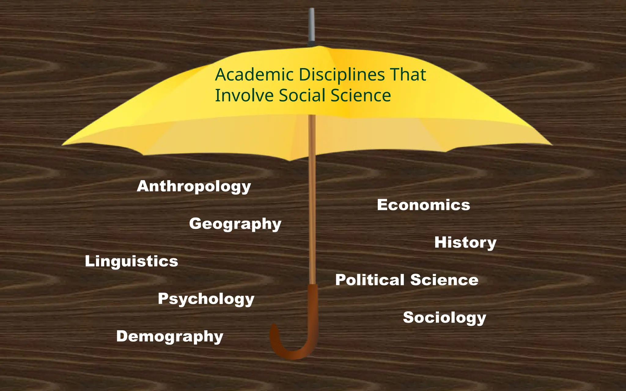 Anthropology
Economics
Geography
History
Linguistics
Political Science
Psychology
Sociology
Demography
Academic Disciplines That
Involve Social Science
 