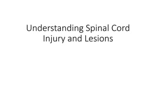 Understanding Spinal Cord
Injury and Lesions
 