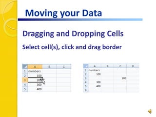 You can:Perform calculationsManage and sort dataCreate visual representations