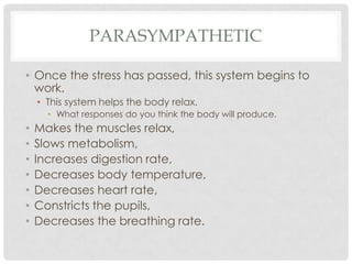 Parasympathetic Once the stress has passed, this system begins to work.This system helps the body relax. What responses do you think the body will produce. Makes the muscles relax,Slows metabolism,Increases digestion rate,Decreases body temperature,Decreases heart rate,Constricts the pupils,Decreases the breathing rate. 