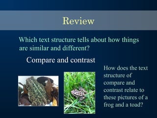 Review
Which text structure tells about how things
are similar and different?
Compare and contrast
How does the text
structure of
compare and
contrast relate to
these pictures of a
frog and a toad?
 