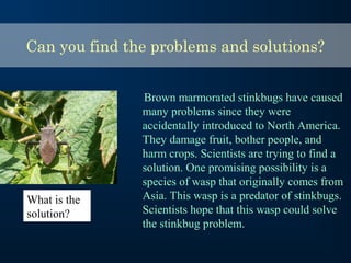 Can you find the problems and solutions?
Brown marmorated stinkbugs have caused
many problems since they were
accidentally introduced to North America.
They damage fruit, bother people, and
harm crops. Scientists are trying to find a
solution. One promising possibility is a
species of wasp that originally comes from
Asia. This wasp is a predator of stinkbugs.
Scientists hope that this wasp could solve
the stinkbug problem.
What is the
solution?
 