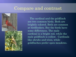 Compare and contrast
The cardinal and the goldfinch
are two common birds. Both are
brightly colored. Both are common
at birdfeeders. But the birds have
some differences. The male
cardinal is a bright red, while the
male goldfinch is yellow. Cardinals
like shrubs and trees, while
goldfinches prefer open meadows.
 