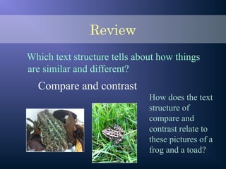 Review
Which text structure tells about how things
are similar and different?
Compare and contrast
How does the text
structure of
compare and
contrast relate to
these pictures of a
frog and a toad?
 