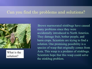 Can you find the problems and solutions?
Brown marmorated stinkbugs have caused
many problems since they were
accidentally introduced to North America.
They damage fruit, bother people, and
harm crops. Scientists are trying to find a
solution. One promising possibility is a
species of wasp that originally comes from
Asia. This wasp is a predator of stinkbugs.
Scientists hope that this wasp could solve
the stinkbug problem.
What is the
solution?
 