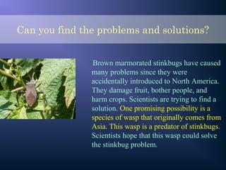 Can you find the problems and solutions?
Brown marmorated stinkbugs have caused
many problems since they were
accidentally introduced to North America.
They damage fruit, bother people, and
harm crops. Scientists are trying to find a
solution. One promising possibility is a
species of wasp that originally comes from
Asia. This wasp is a predator of stinkbugs.
Scientists hope that this wasp could solve
the stinkbug problem.
 