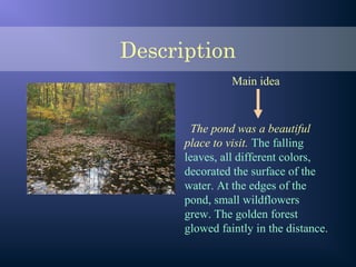The pond was a beautiful
place to visit. The falling
leaves, all different colors,
decorated the surface of the
water. At the edges of the
pond, small wildflowers
grew. The golden forest
glowed faintly in the distance.
Main idea
Description
 