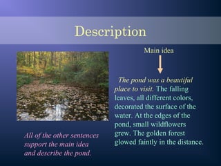 The pond was a beautiful
place to visit. The falling
leaves, all different colors,
decorated the surface of the
water. At the edges of the
pond, small wildflowers
grew. The golden forest
glowed faintly in the distance.
Main idea
All of the other sentences
support the main idea
and describe the pond.
Description
 