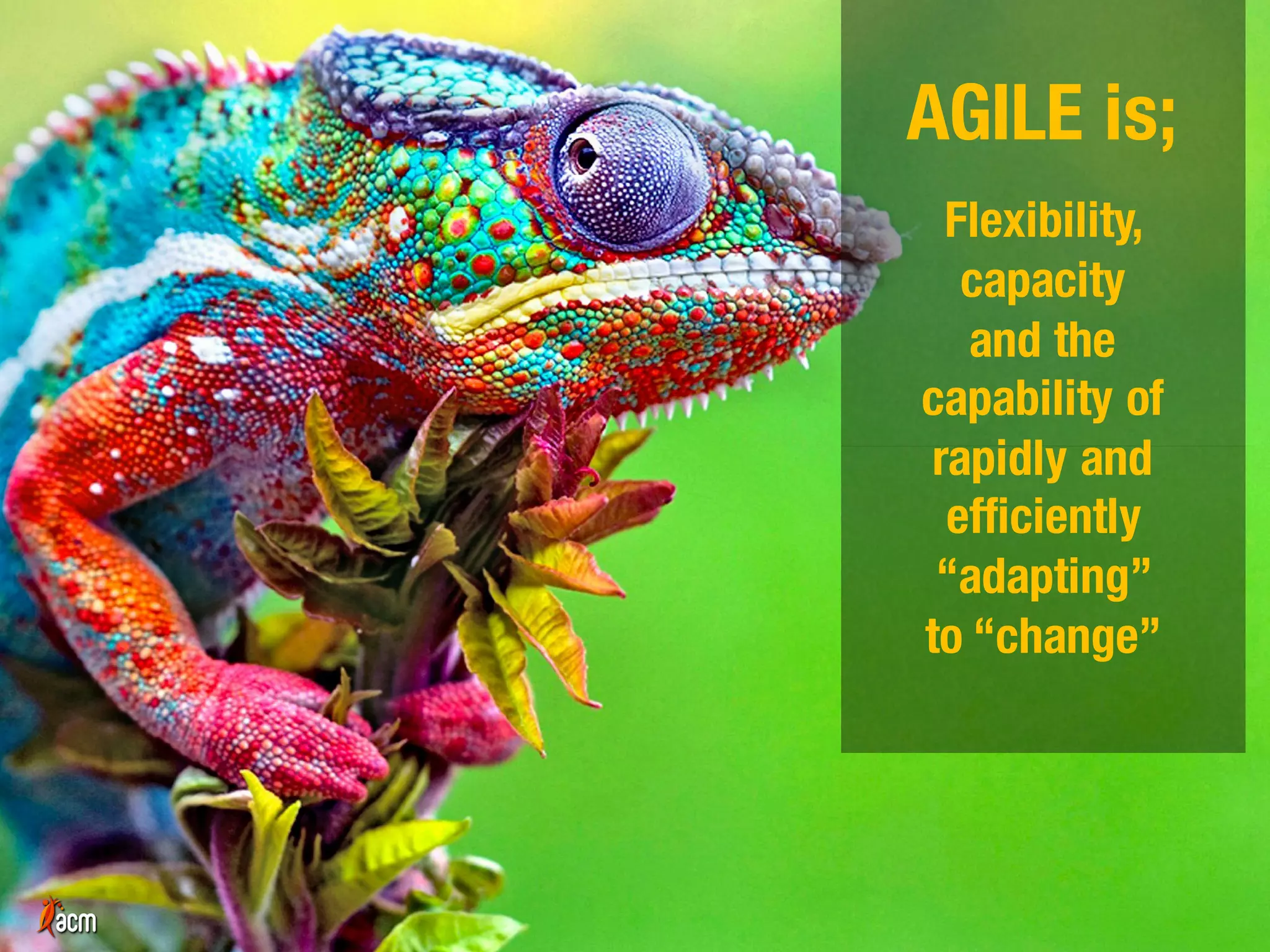 AGILE is;
Flexibility,
capacity
and the
capability of
rapidly and
efficiently
“adapting”
to “change”
 