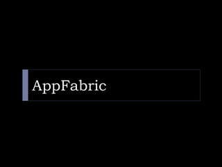 AppFabric
 
