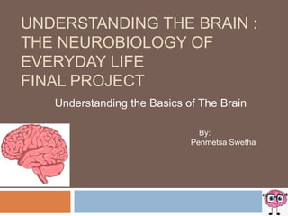 UNDERSTANDING THE BRAIN :
THE NEUROBIOLOGY OF
EVERYDAY LIFE
FINAL PROJECT
Understanding the Basics of The Brain
By:
Penmetsa Swetha
 