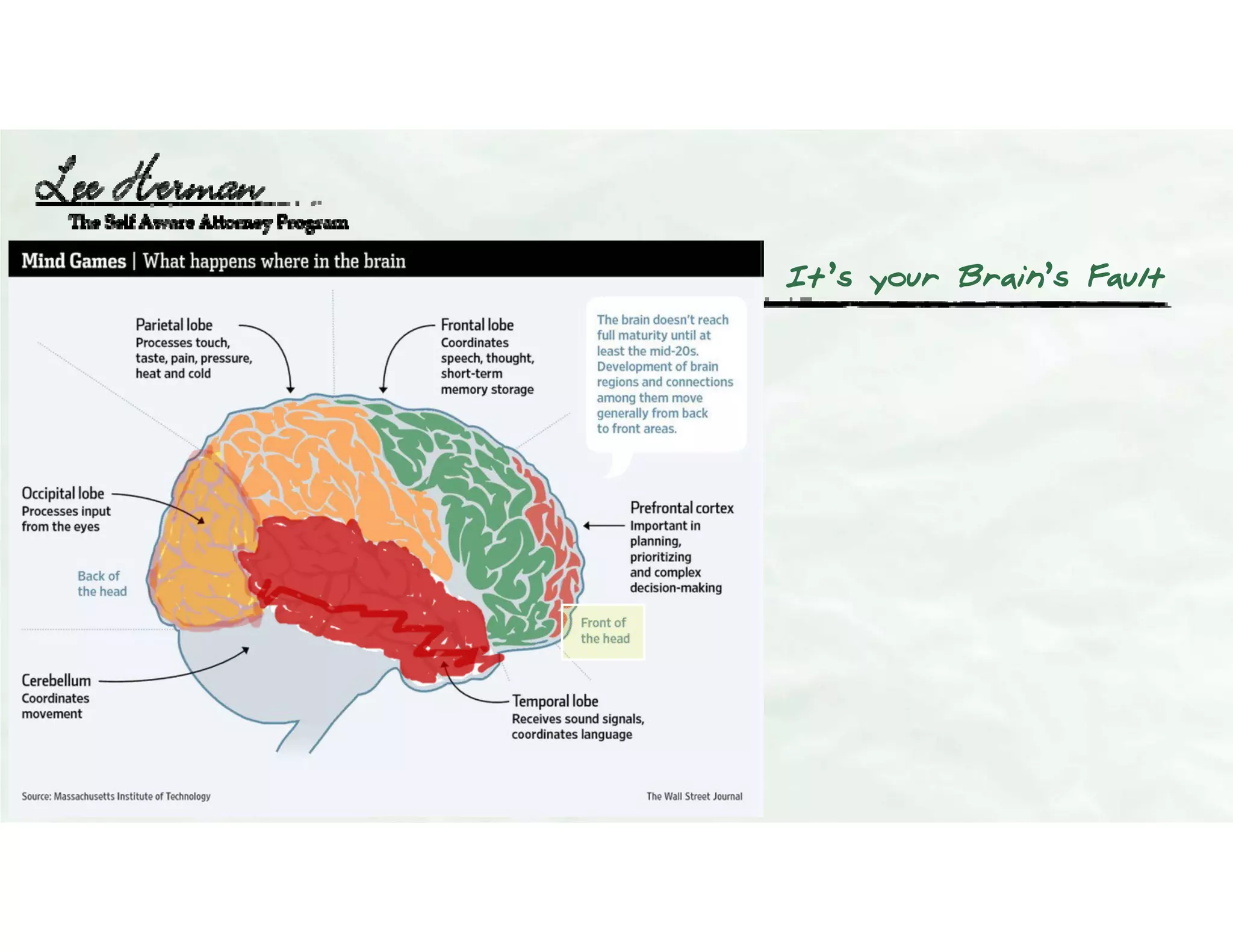 It’s your Brain’s Fault
 