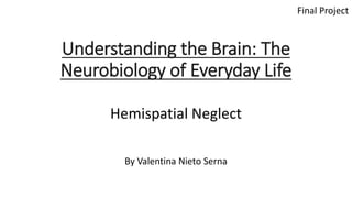 Understanding the Brain: The
Neurobiology of Everyday Life
Hemispatial Neglect
By Valentina Nieto Serna
Final Project
 