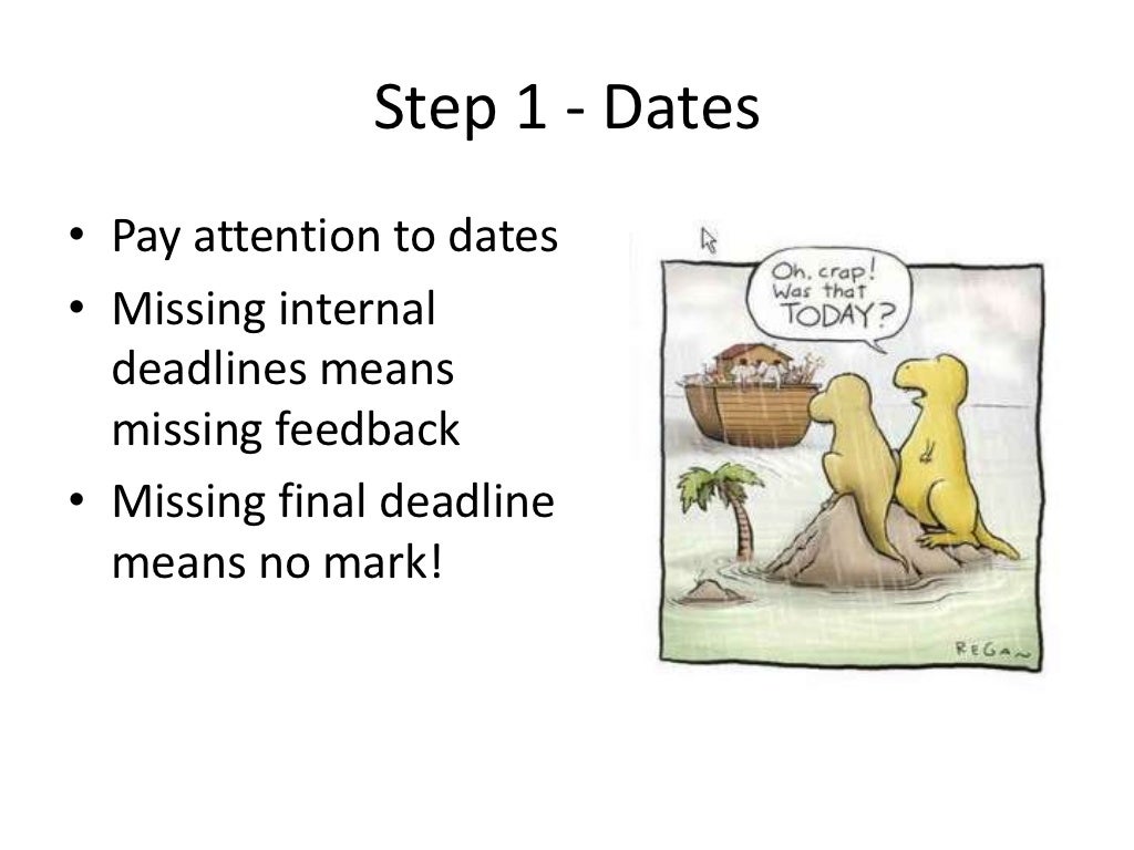 Understanding the brief