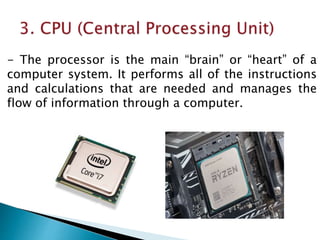 - The processor is the main “brain” or “heart” of a
computer system. It performs all of the instructions
and calculations that are needed and manages the
flow of information through a computer.
 