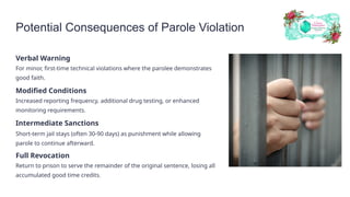 Understanding the Consequences of Parole Violations Essential Insights ...