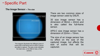 Understanding The Digital Camera | PPTX