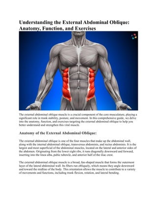Understanding the External Abdominal Oblique:
Anatomy, Function, and Exercises
The external abdominal oblique muscle is a crucial component of the core musculature, playing a
significant role in trunk stability, posture, and movement. In this comprehensive guide, we delve
into the anatomy, function, and exercises targeting the external abdominal oblique to help you
better understand and strengthen this vital muscle.
Anatomy of the External Abdominal Oblique:
The external abdominal oblique is one of the four muscles that make up the abdominal wall,
along with the internal abdominal oblique, transversus abdominis, and rectus abdominis. It is the
largest and most superficial of the abdominal muscles, located on the lateral and anterior sides of
the abdomen. Originating from the lower eight ribs, it runs diagonally downward and forward,
inserting into the linea alba, pubic tubercle, and anterior half of the iliac crest.
The external abdominal oblique muscle is a broad, fan-shaped muscle that forms the outermost
layer of the lateral abdominal wall. Its fibers run obliquely, which means they angle downward
and toward the midline of the body. This orientation allows the muscle to contribute to a variety
of movements and functions, including trunk flexion, rotation, and lateral bending.
 