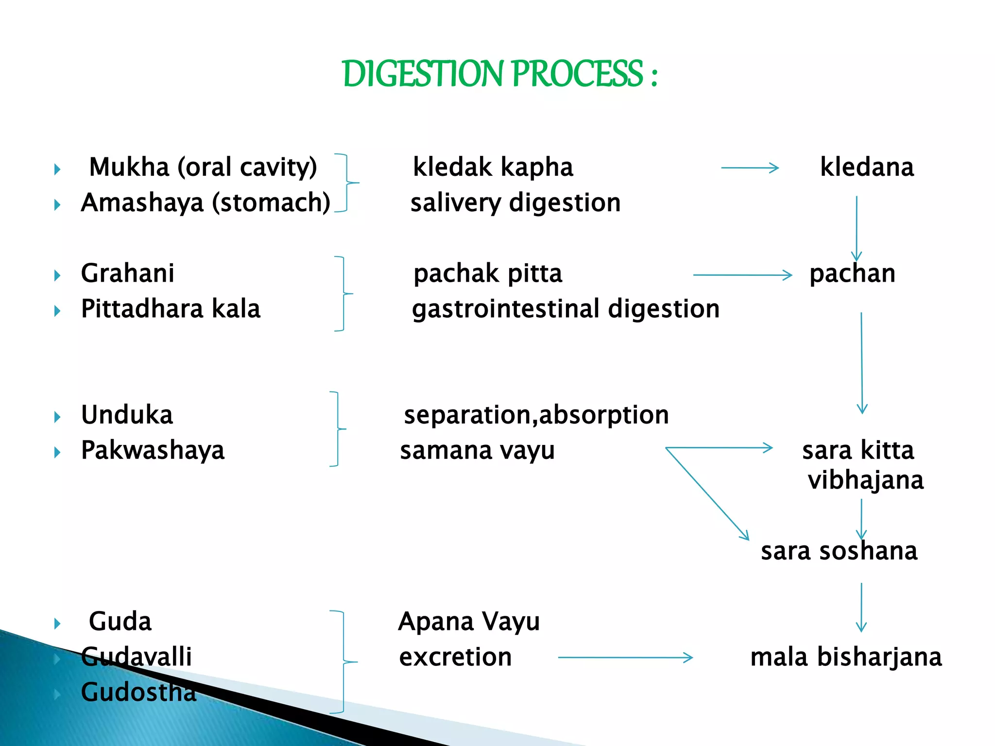  Mukha (oral cavity) kledak kapha kledana
 Amashaya (stomach) salivery digestion
 Grahani pachak pitta pachan
 Pittadhara kala gastrointestinal digestion
 Unduka separation,absorption
 Pakwashaya samana vayu sara kitta
vibhajana
sara soshana
 Guda Apana Vayu
 Gudavalli excretion mala bisharjana
 Gudostha
DIGESTION PROCESS:
 