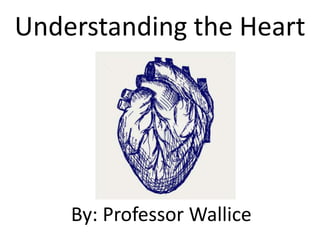 Understanding the Heart
By: Professor Wallice
 