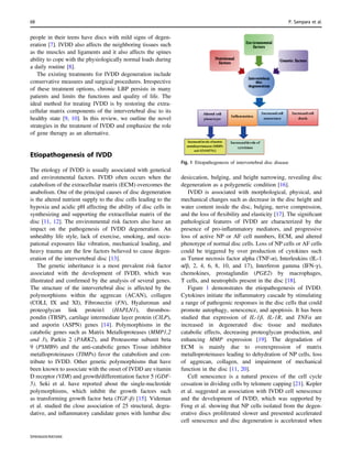 Understanding the molecular biology of intervertebral disc degeneration ...