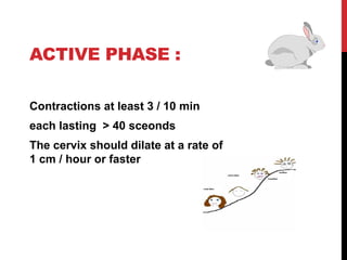 ACTIVE PHASE :
Contractions at least 3 / 10 min
each lasting < 40 sceonds
The cervix should dilate at a rate of
1 cm / hour or faster
 
