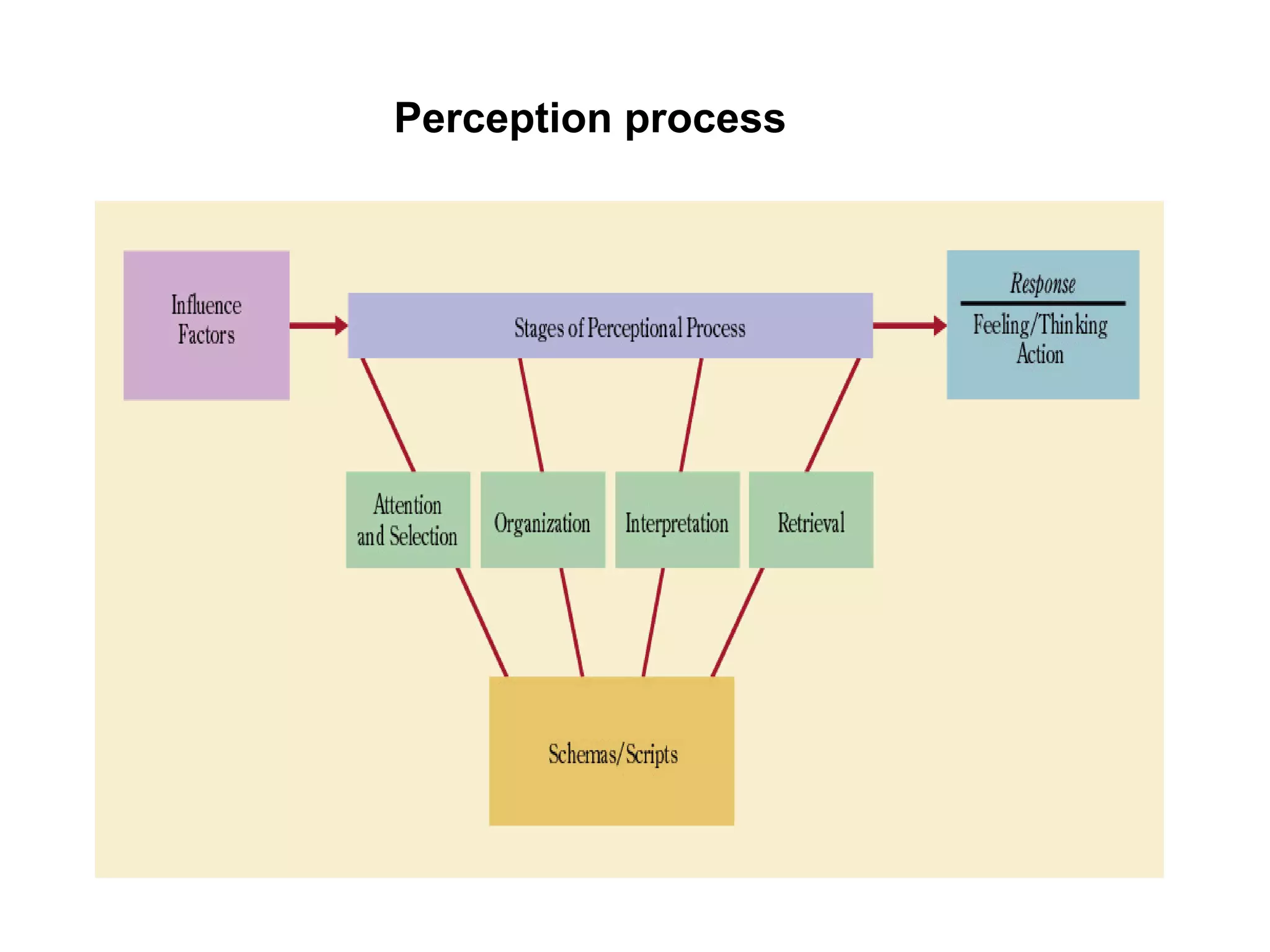 Perception process
 