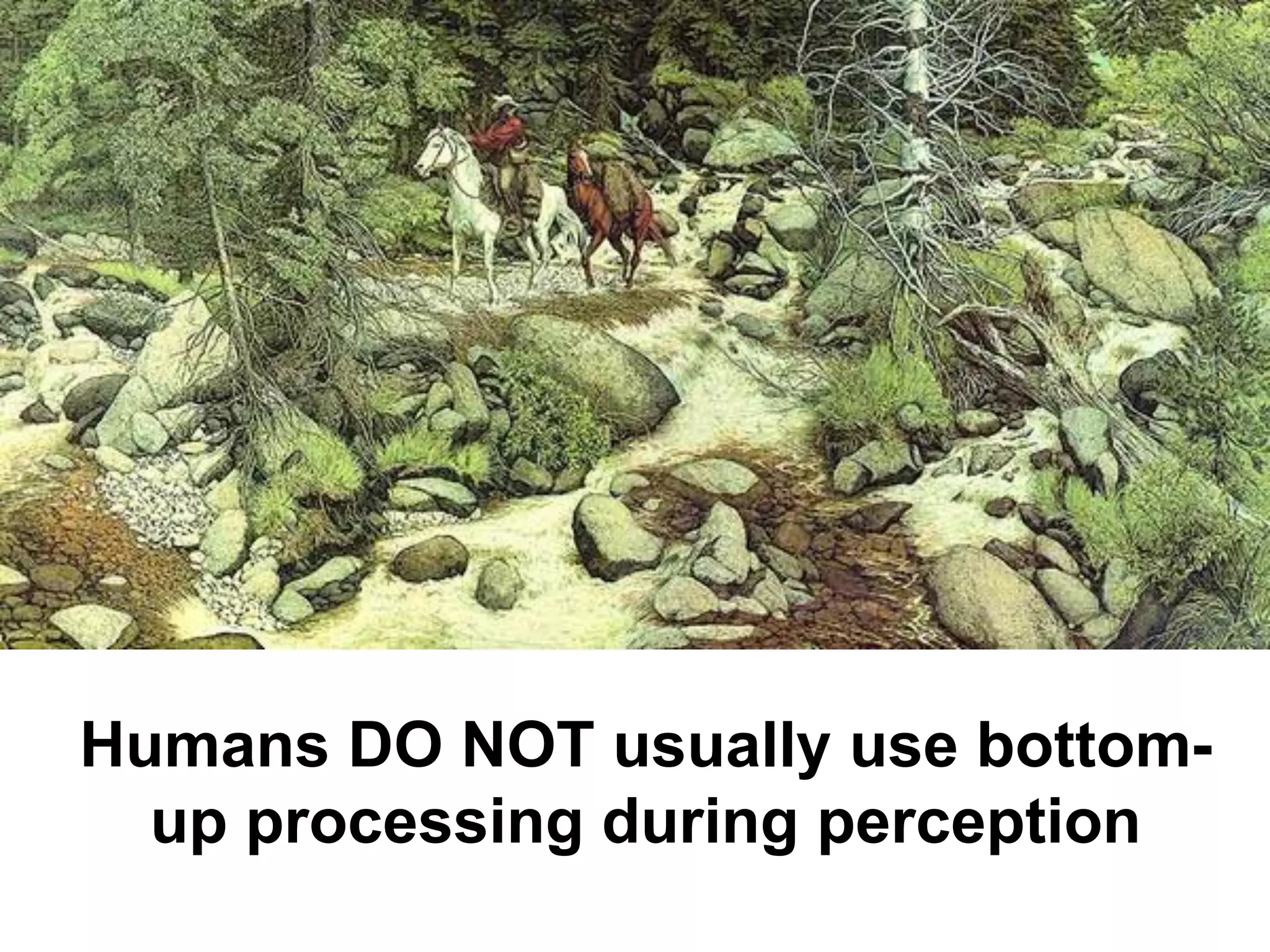 Humans DO NOT usually use bottom-
up processing during perception
 