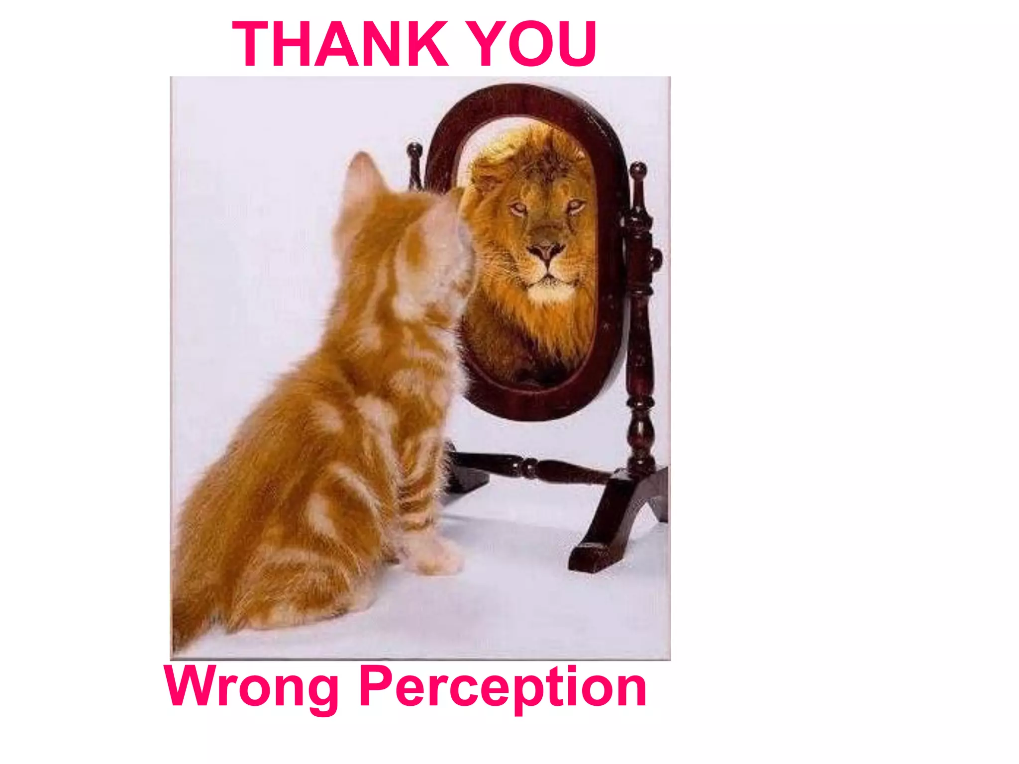 THANK YOU
89
Wrong Perception
 