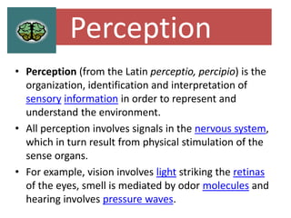 Latin Perception Understanding the perception and its role in successful management of ...