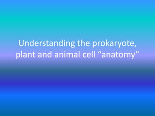 Understanding the prokaryote,  plant and animal cell “anatomy” 