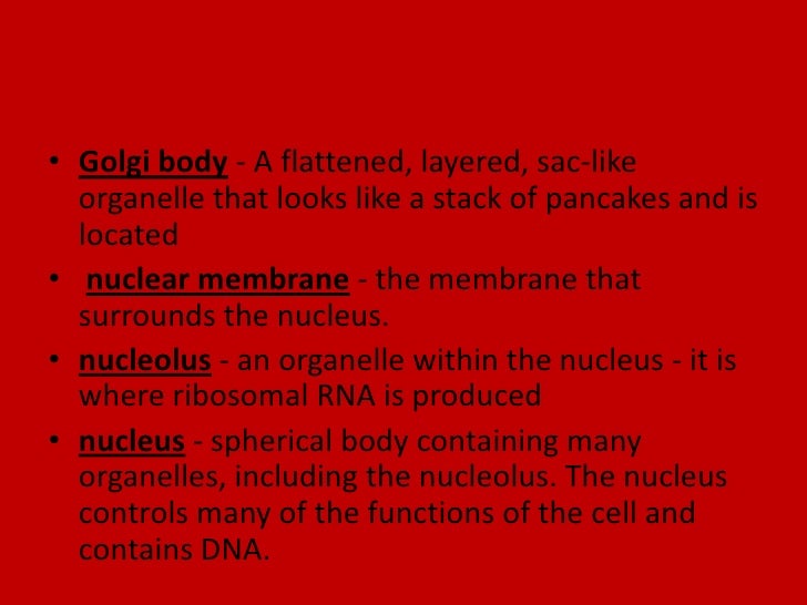 Understanding the prokaryote; plant and animal cell
