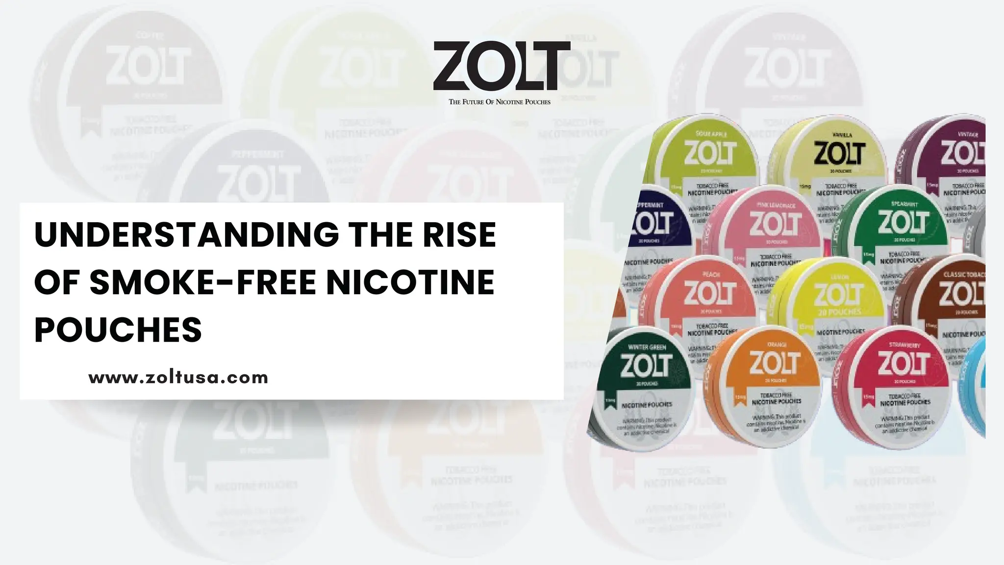 UNDERSTANDING THE RISE
OF SMOKE-FREE NICOTINE
POUCHES
www.zoltusa.com
 