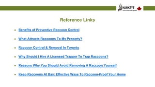 Understanding the Risks Associated with Raccoons.pptx